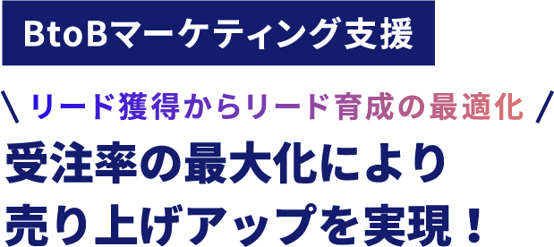 BtoBマーケティング支援 リード獲得からリード育成の最適化！受注率の最大化により 売り上げアップを実現！