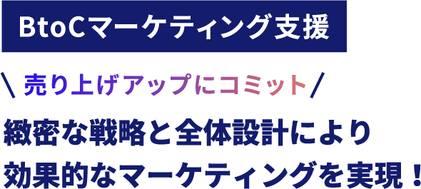 BtoCマーケティング支援 緻密な戦略と全体設計により効果的なマーケティングを実現！売上アップにコミットします！