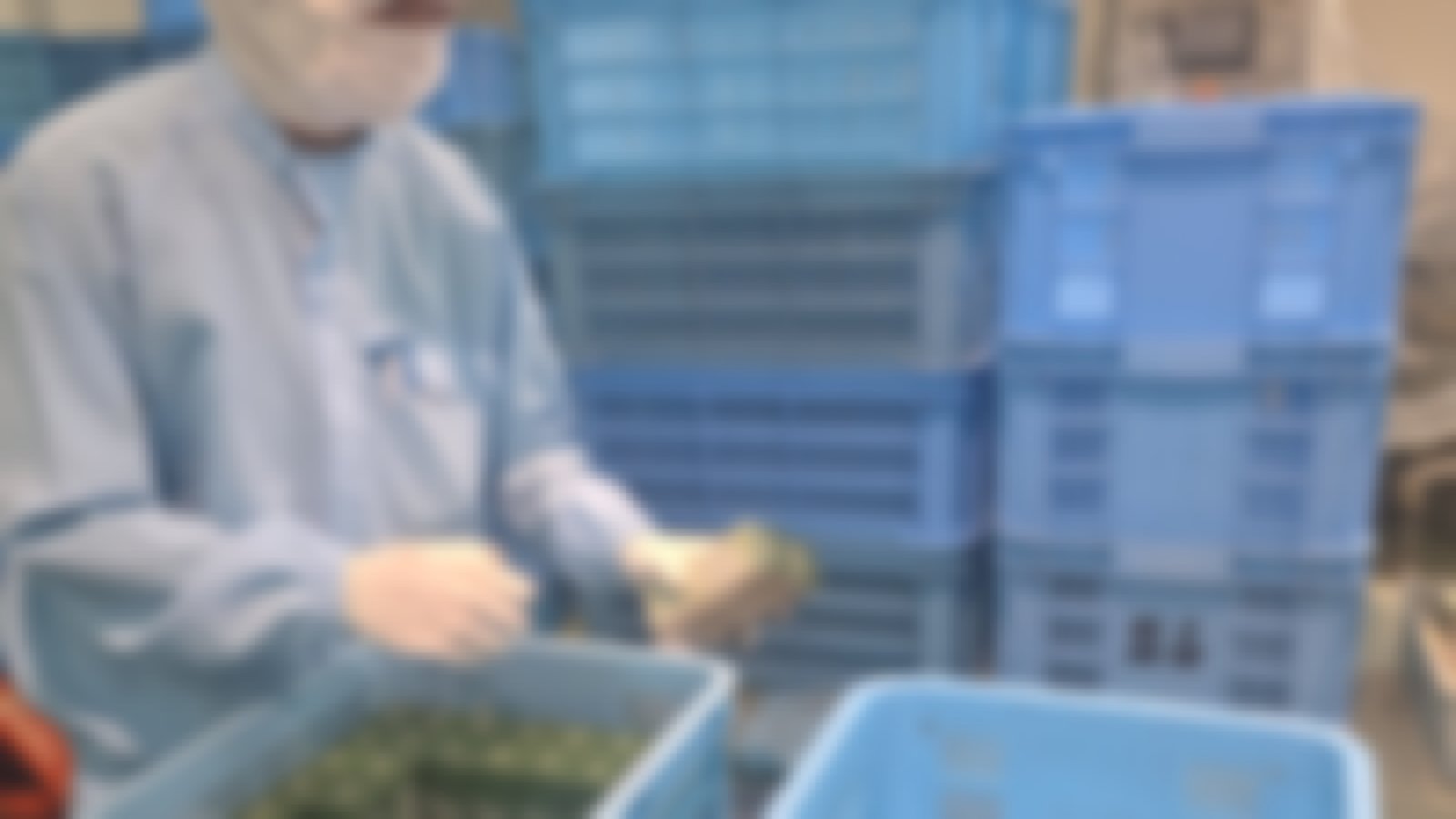 製造現場。本社・工場に入り、在庫のリードタイムと原価から配信上限を決める（特定を避けるため加工しています）
